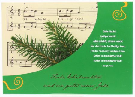 Weihnachtskarte - Tannenzweige