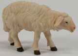 Kostner-Krippe - Schaf stehend vorwrtsschauend