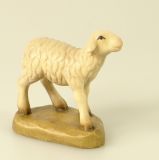 Zosato Krippe - Schaf stehend