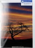 Trauerkarte - Baum & Sonnenaufgang
