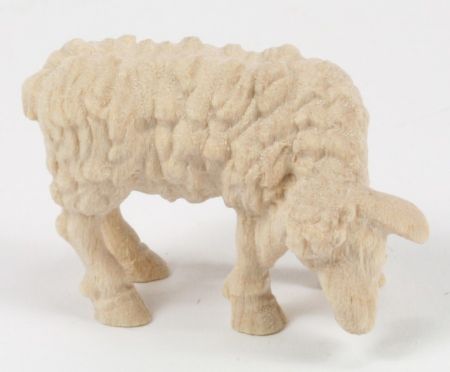 Bild Raffaello-Krippe  - Schaf essend