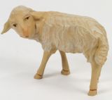 Gelderland Krippe - Schaf umschauend