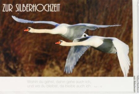Karte zur Silberbochzeit - Wohin du auch gehst