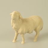Heiland-Krippe - Schaf geradeaus schauend